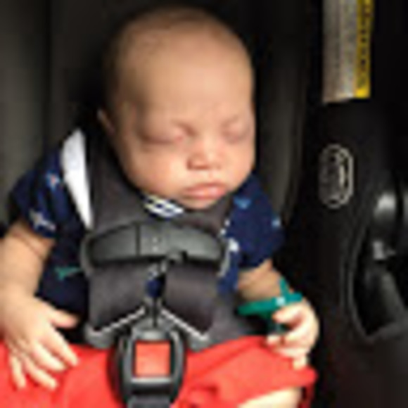 Meet your Posher, Lexi - Picture 1 of 1